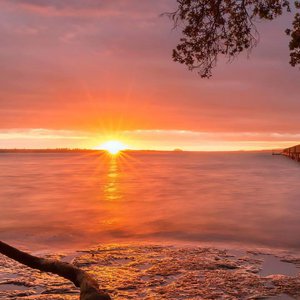 操东娘们的视频
